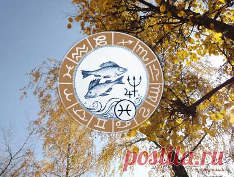 Осмысление прошлого. Гороскоп для Рыб с 5 октября по 1 ноября 2020 | Астропропаганда | Яндекс Дзен
♓✨ Автор: астролог Нина Стрелкова. ✧ Этот период хорош для обращения к прошлому, осмысления пройденного пути, выявления каких-то закономерностей, которые могут проявиться и в будущем. Это поможет вам обрести уверенность и двигаться дальше. А также поможет укрепить семейные, любовные и дружеские отношения, исправить прежние ошибки. Это плохой период для поездок, путешествий.