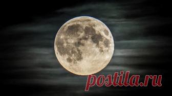 Российским луноходом будет управлять антропоморфный робот Луноход, который планируется доставить на спутник Земли с помощью автоматической межпланетной станции 