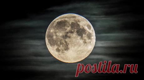 Российским луноходом будет управлять антропоморфный робот Луноход, который планируется доставить на спутник Земли с помощью автоматической межпланетной станции "Луна-29", будет управляться антропоморфным роботом,