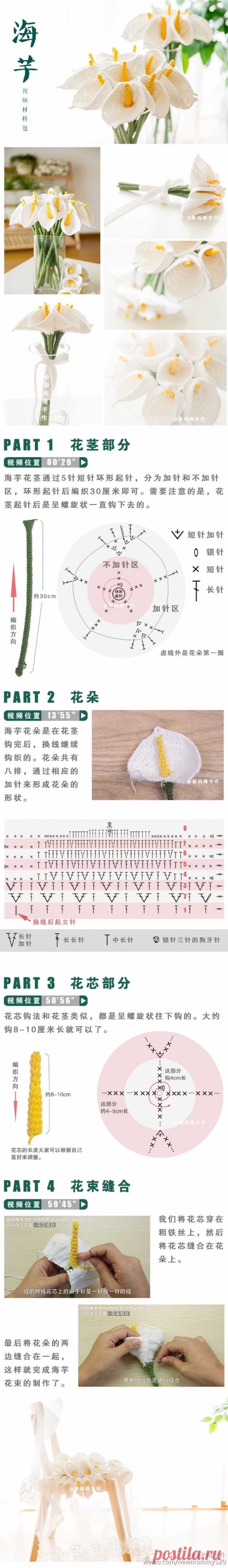 海芋－堆糖，美好生活研究所