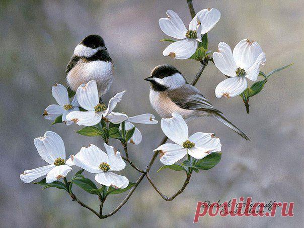 Картинки для декупажа, скрапа, коллажей | 981 фотография | ВКонтакте