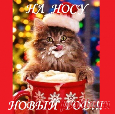 НОВЫЙ ГОД НА НОСУ!
 Красивые картинки и открытки  vk.com/fotomimi