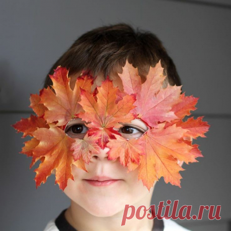 (48) Одноклассники
