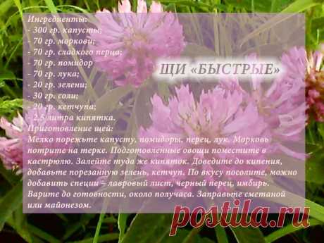 Рецепты - Щи &quot;Быстрые&quot;