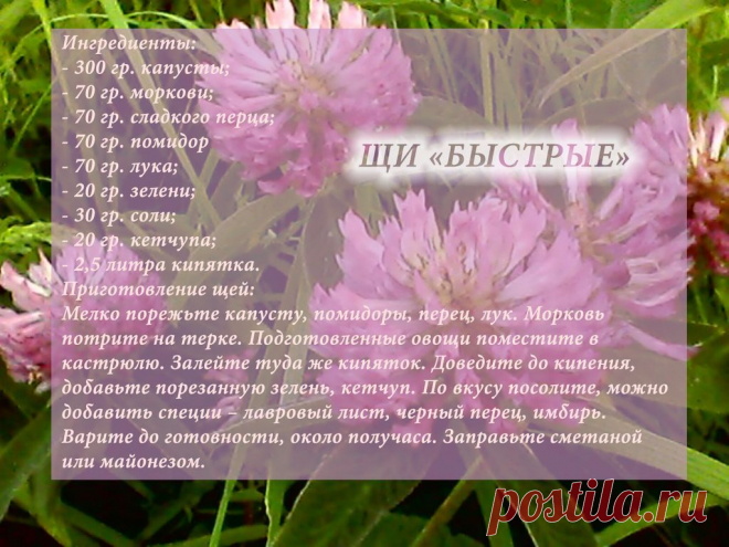 Рецепты - Щи "Быстрые"