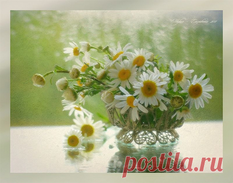 0_8a422_16f43d21_XL.jpg (800×629)