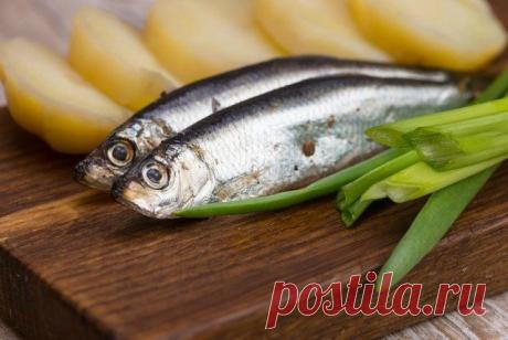 Новогодние блюда разных стран – традиционные праздничные рецепты | Статьи (Огород.ru)