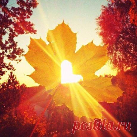 Осень – единственное время года, которое учит излечиваться от прошлого, не складывать горестно руки, искать любовь и ждать. Осень наделена даром исцеления.