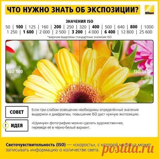 Интересная памятка начинающим фотографам | Хитрости жизни