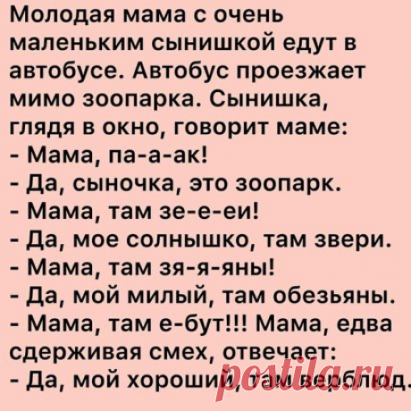 i (411×411)