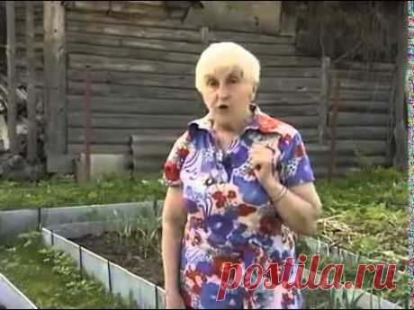 Сад, огород, дача
