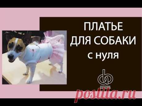 Платье для собаки. Строим лекало и шьем.