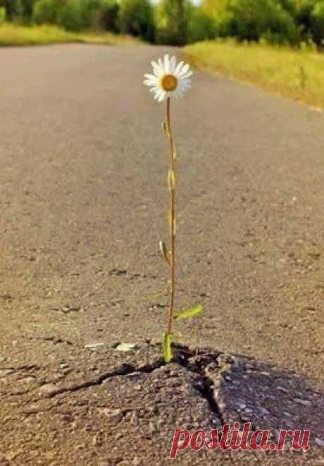 (15) Facebook