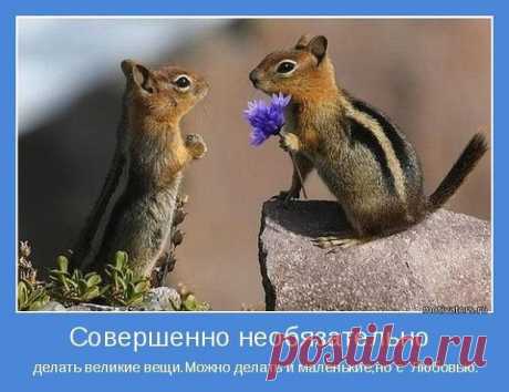 ВСЁ ЛУЧШЕЕ ИЗ YOU TUBE (16 плюс)
Сергей Бобков