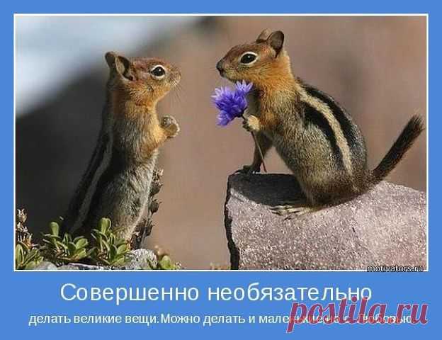 ВСЁ ЛУЧШЕЕ ИЗ YOU TUBE (16 плюс)
Сергей Бобков