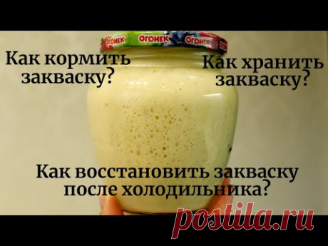☆ Как кормить и хранить пшеничную закваску для хлеба ☆ Восстановление закваски после холодильника