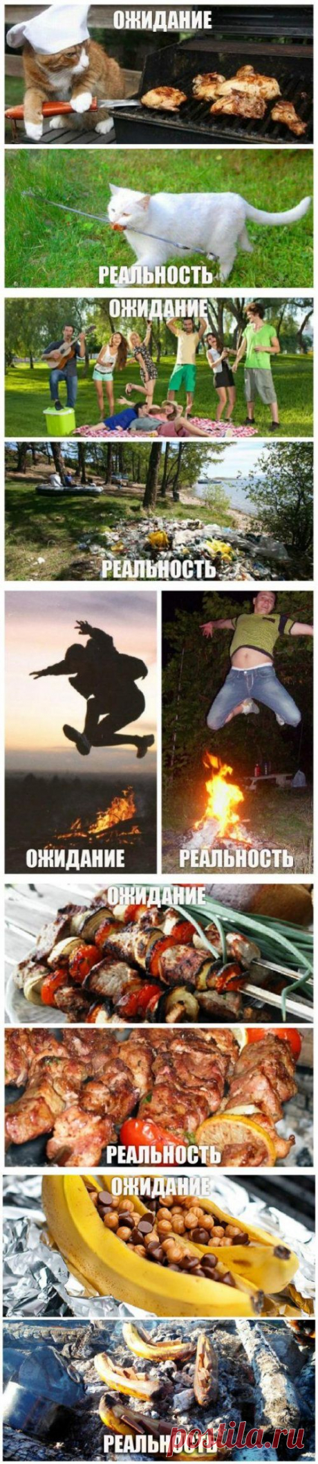 Поездка на шашлыки: ожидания vs. реальность (12 фото)