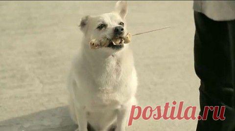 Дарите добро! Очень трогательное видео