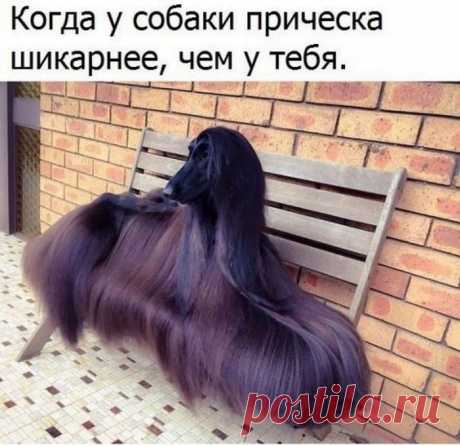 Это что-то с чем-то... / Писец - приколы интернета