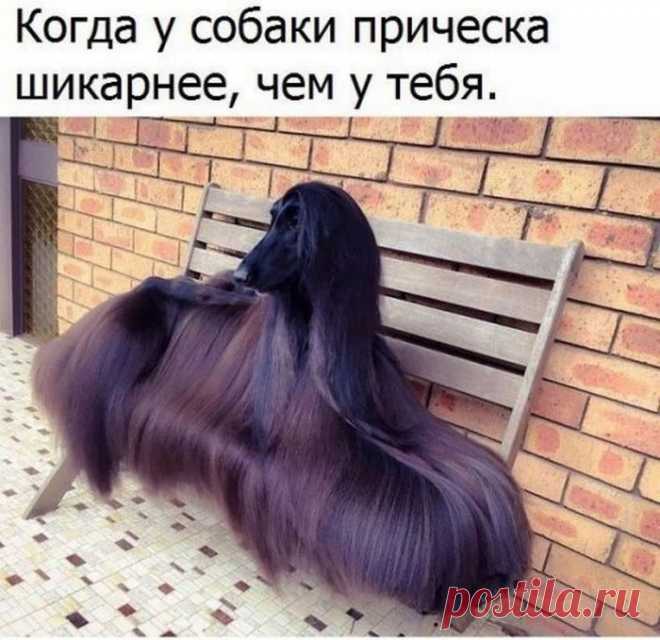 Это что-то с чем-то... / Писец - приколы интернета