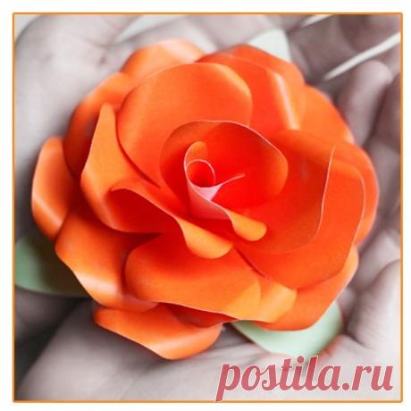 👌 Цветы из бумаги - 5 мастер-классов, увлечения и хобби Вчера в школе, где я работаю, проходил праздничный концерт. Мы подготовили интересную программу: детишки пели, танцевали, читали стихотворения. А в конце каждый ребенок спустился в...