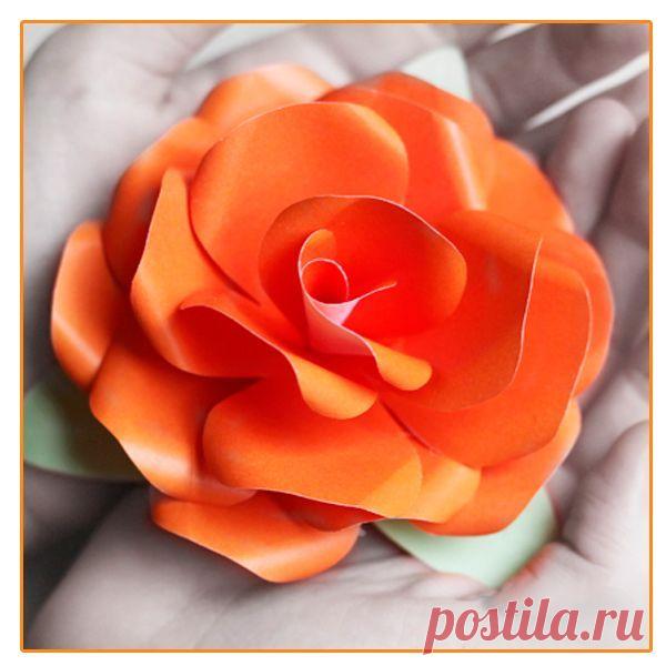 👌 Цветы из бумаги - 5 мастер-классов, увлечения и хобби Вчера в школе, где я работаю, проходил праздничный концерт. Мы подготовили интересную программу: детишки пели, танцевали, читали стихотворения. А в конце каждый ребенок спустился в...