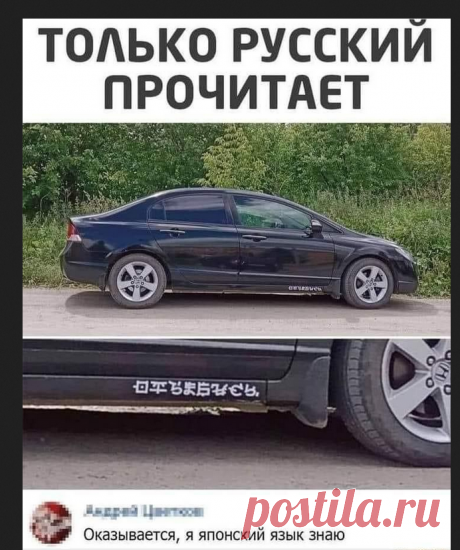 Юмор, смешные картинки, мемы. Веселое настроение на весь день | Блог смешного | Яндекс Дзен