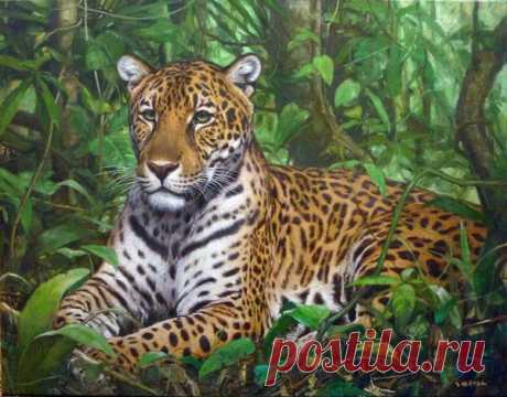 Дух Амазонии по Gabriel Hermida | ArtWanted.com