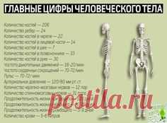 (587) Pinterest