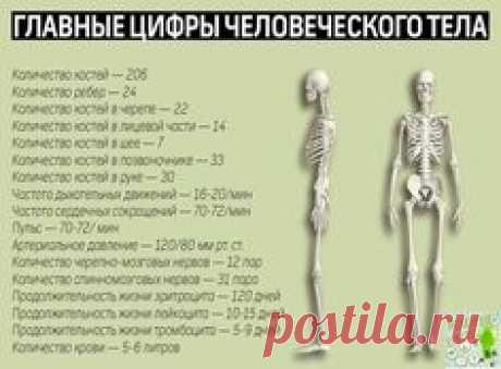 (587) Pinterest