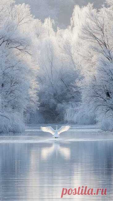 a white bird flying over a lake surrounded by trees
