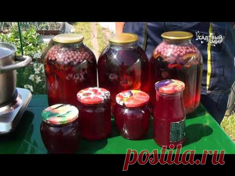 Мармелад и компот из смородины за 10 минут. Самые простые и быстрые заготовки из смородины на зиму