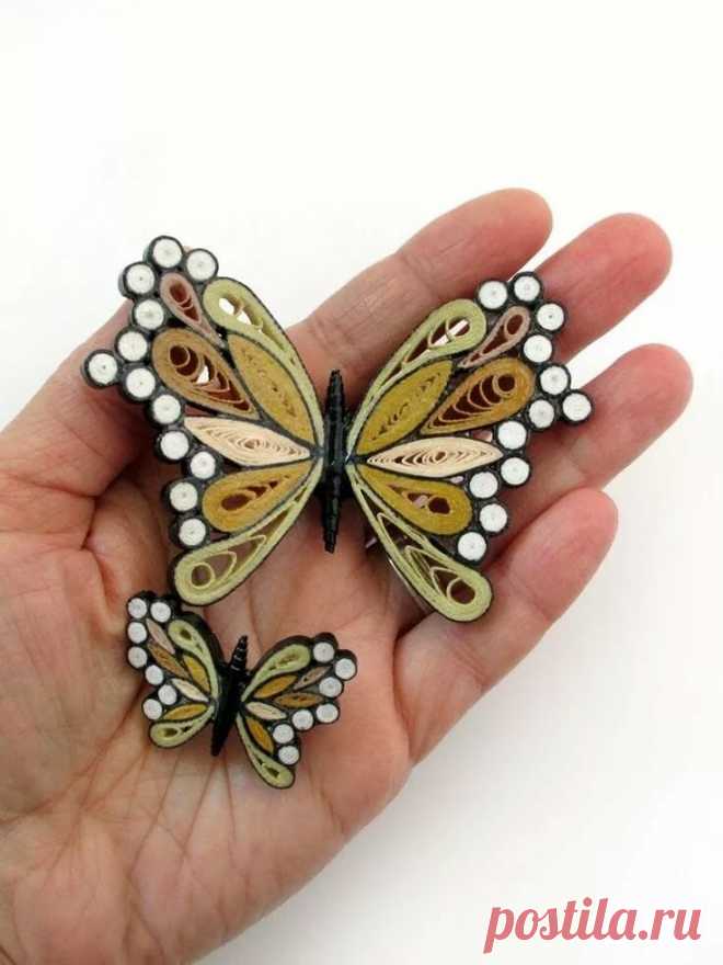 encantadoras. Butterflies & Caterpillars Tarje. в Яндекс.Коллекциях