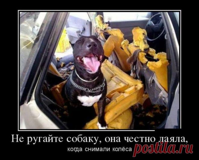 15+ крутых демотиваторов, которые заставят вас плакать от смеха