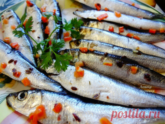 Как вкусно замариновать(засолить) кильку | Марина Ломака | Яндекс Дзен