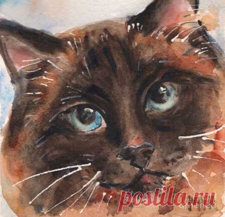 Seal Point Cat with Blue Eyes by Maria Reichert Seal Point Cat with Blue Eyes Painting by Maria Reichert