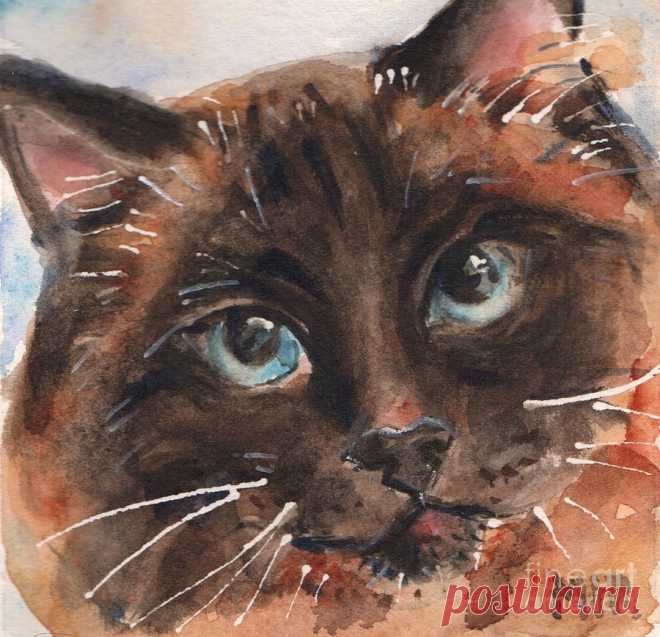 Seal Point Cat with Blue Eyes by Maria Reichert Seal Point Cat with Blue Eyes Painting by Maria Reichert
