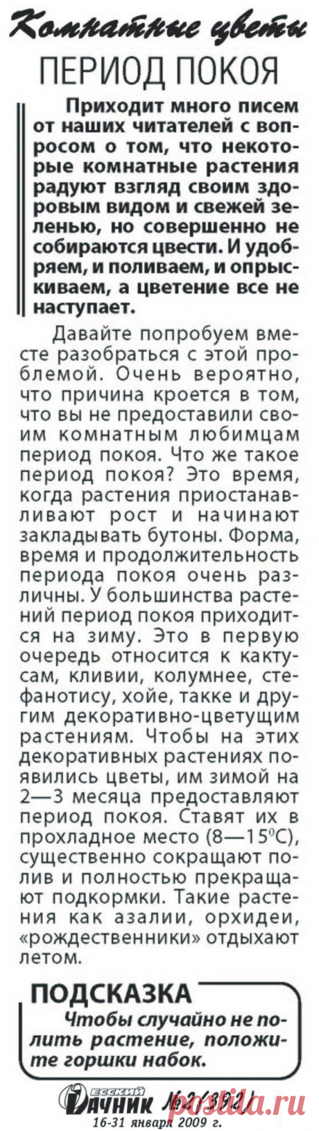 Период покоя для комнатных цветов