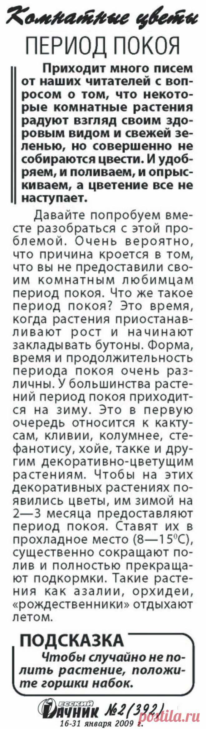 Период покоя для комнатных цветов