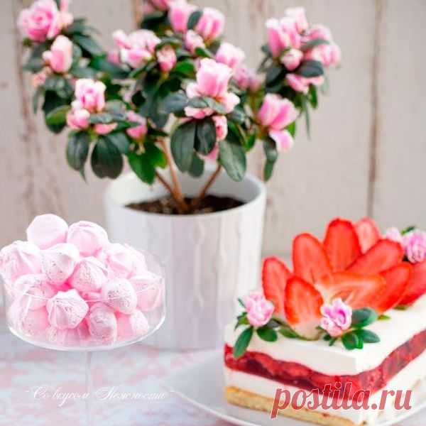 КАКОЙ СЕГОДНЯ ПРАЗДНИК? 18 Сентября 2019 г. – Среда • День памяти святого пророка Захарии и святой праведной Елисаветы • День отмочки хвостов • День запахов пряностей для глинтвейна • День памяти погибших мотоциклистов • Международный день электронной книги (International Read an eBook Day) • День специалиста по управлению персоналом (День HR-менеджера)184 года • Всемирный день мониторинга качества воды (World Water Monitoring Day)16 лет День козинаков из риса (National Rice Krispies Treat…