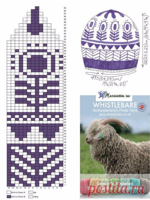 HqeCmA9uWKU.jpg (526×699)