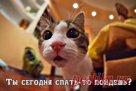 Интересные новости