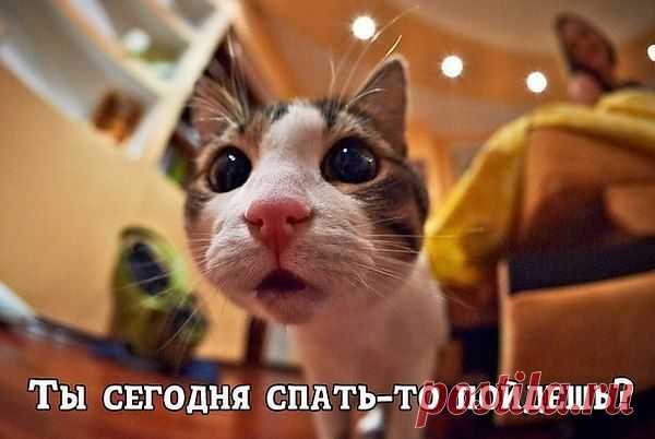 Интересные новости