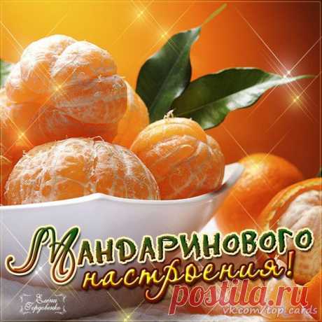 Плейкаст С новым годом