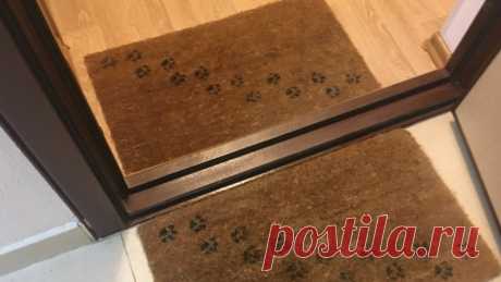 5 мелочей в доме, которые говорят о том, что хозяйка неряха