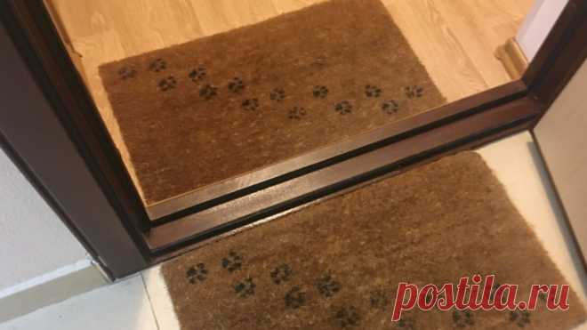 5 мелочей в доме, которые говорят о том, что хозяйка неряха