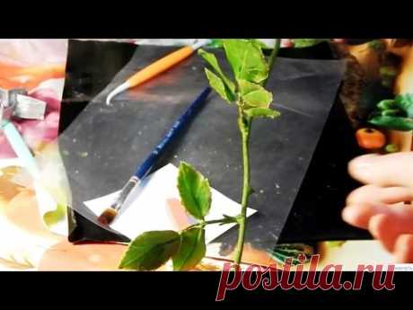 Стебель розы из холодного фарфора. Валентина Цветы своими руками - YouTube