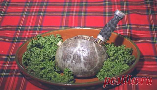 Хаггис (dreaded haggis) » ВКУСНЫЕ РЕЦЕПТЫ С ФОТО 2014. Рецепты салатов и закусок, первые и вторые блюда, десерты и выпечка на любой вкус!