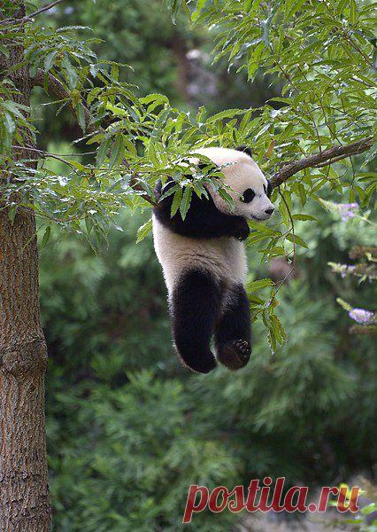 Интересные новости