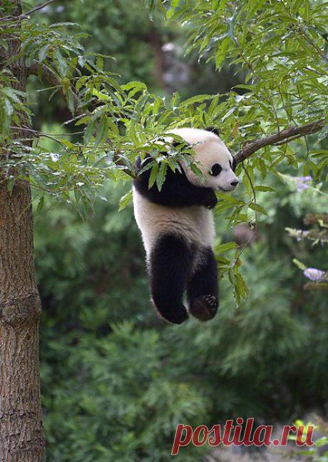 Интересные новости